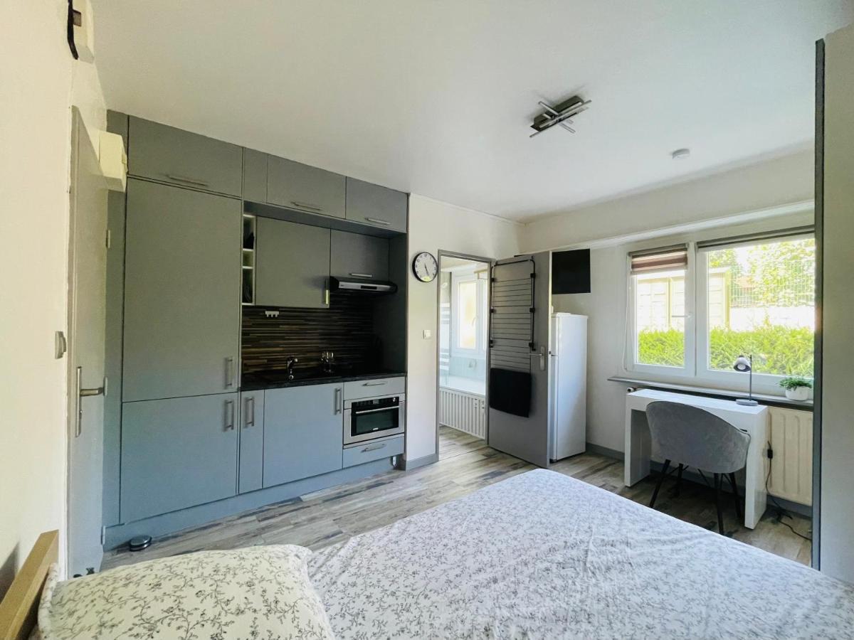 Dnn - Stylish Studio - Free Wifi, Netflix And Parking - Min Away To Basel And Airport - Dishwasher, Washing Machine Saint-Louis  Luaran gambar