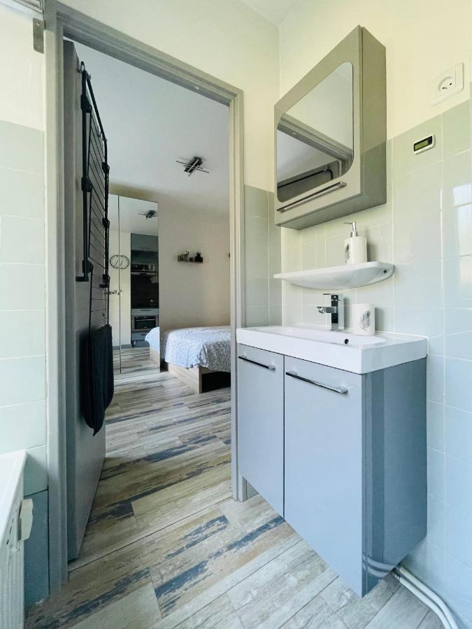 Dnn - Stylish Studio - Free Wifi, Netflix And Parking - Min Away To Basel And Airport - Dishwasher, Washing Machine Saint-Louis  Luaran gambar